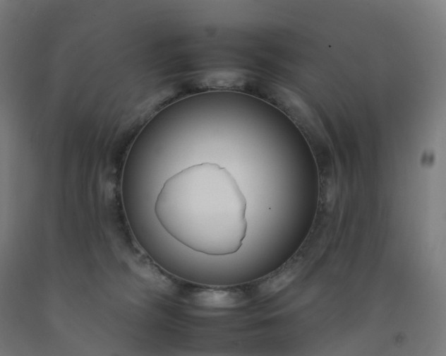 X0000092260326200709281209