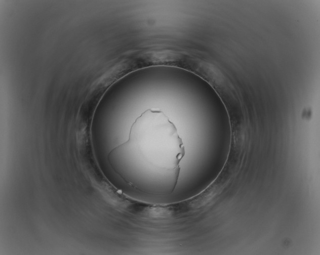 X0000092260327200709281209