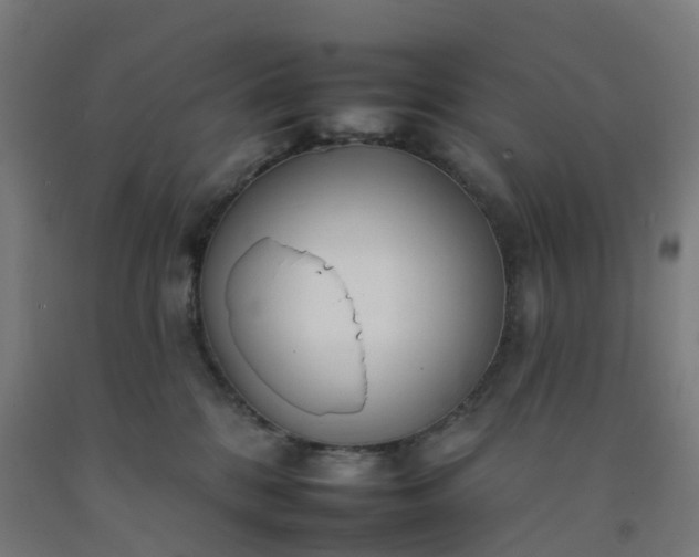 X0000092260328200709281209