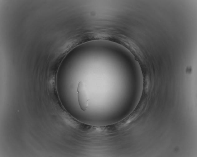 X0000092260329200709281209