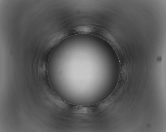 X0000092260330200709281209