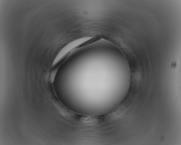 X0000092260331200709281209