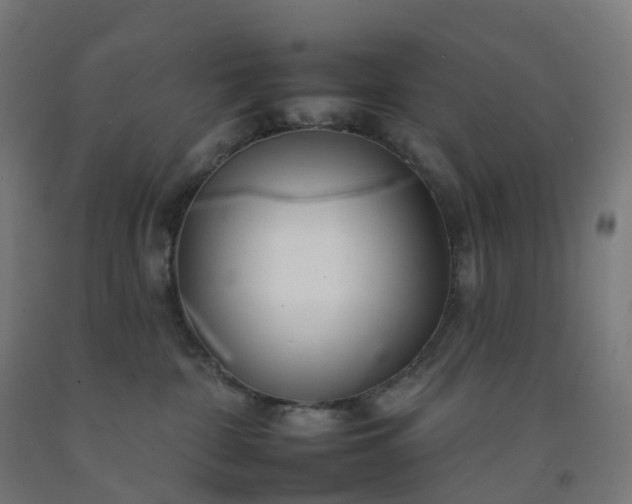 X0000092260332200709281209