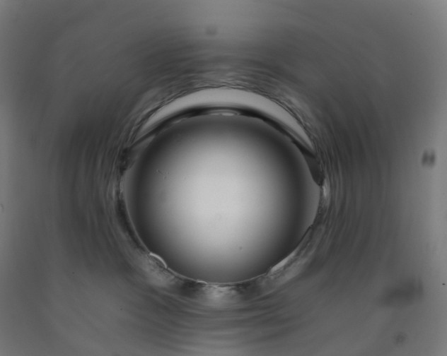 X0000092260333200709281209