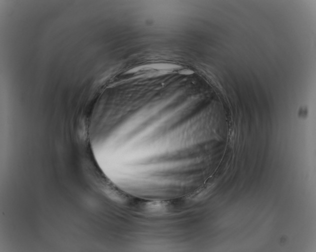 X0000092260335200709281209