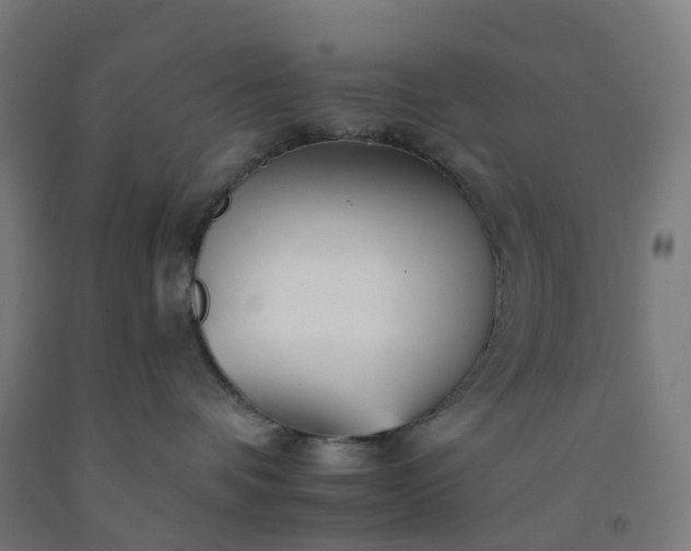 X0000092260336200709281209