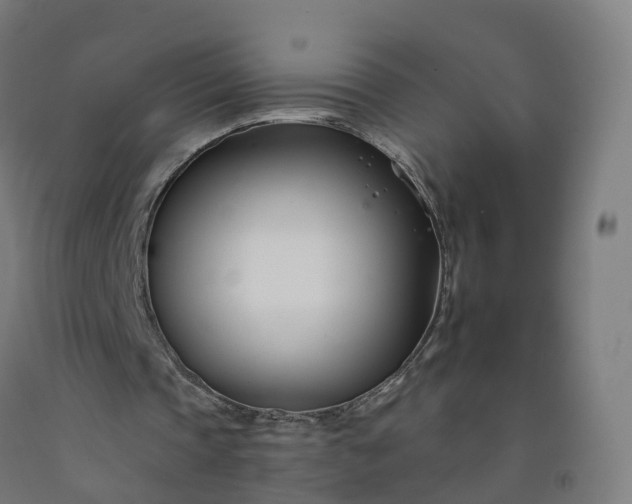 X0000092260337200709281208