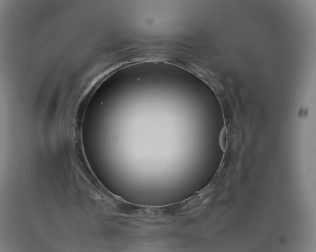 X0000092260338200709281208