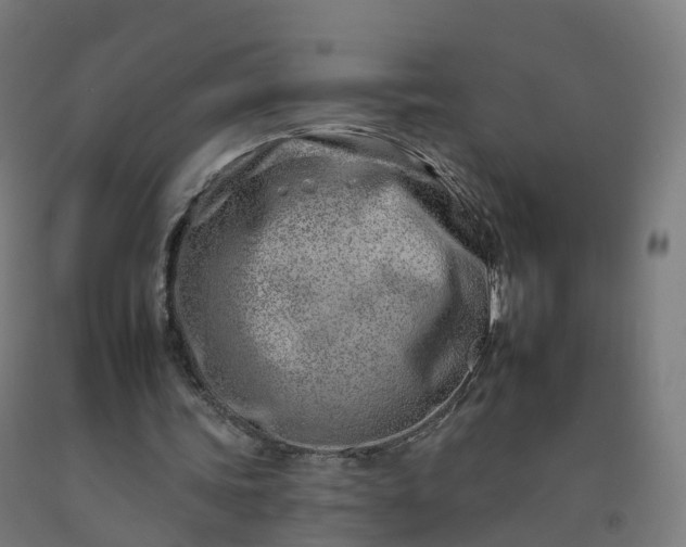 X0000092260339200709281208