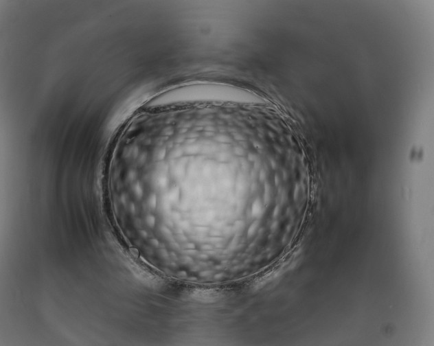 X0000092260341200709281208