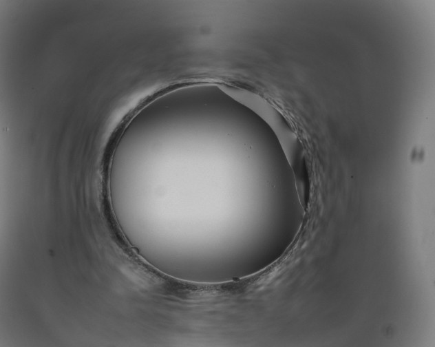 X0000092260342200709281208