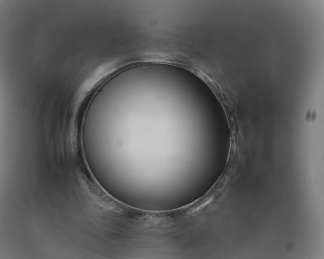 X0000092260343200709281208