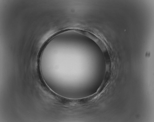 X0000092260344200709281208