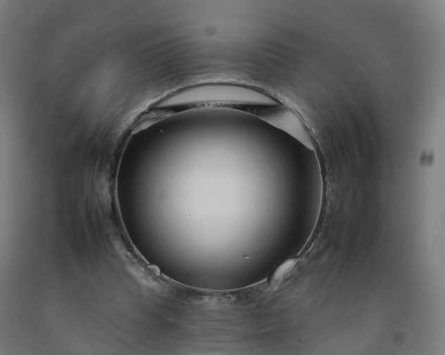 X0000092260345200709281208