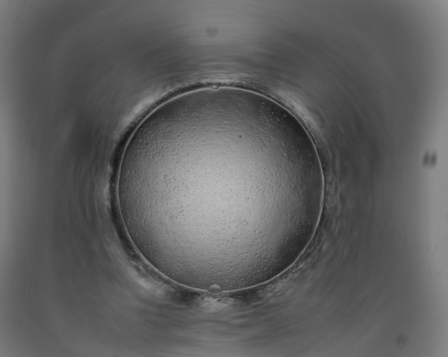 X0000092260346200709281208