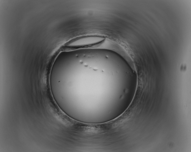 X0000092260347200709281208