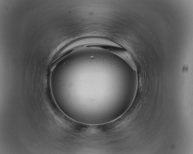 X0000092260348200709281208