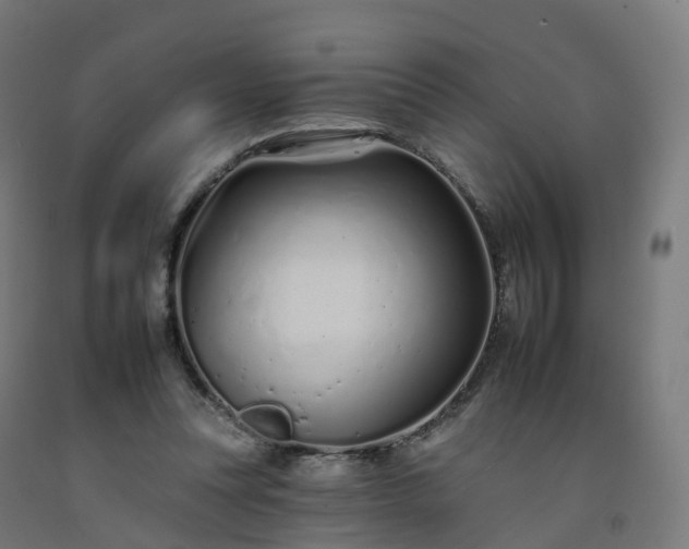 X0000092260351200709281208