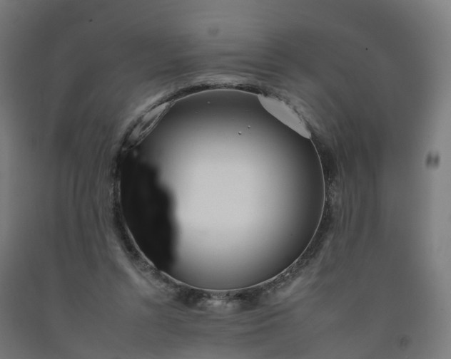 X0000092260352200709281208