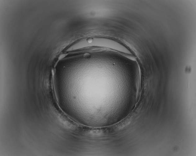 X0000092260353200709281208