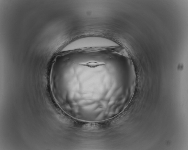 X0000092260354200709281208