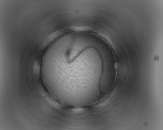 X0000092260357200709281208