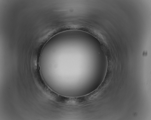 X0000092260358200709281208