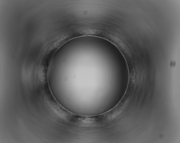 X0000092260359200709281208