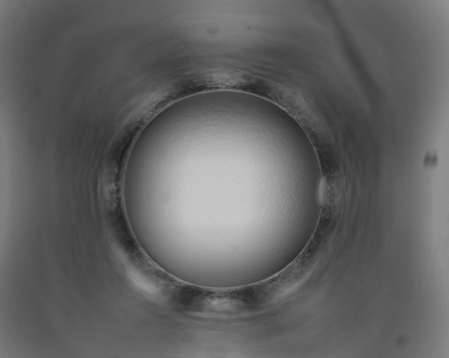 X0000092260360200709281208