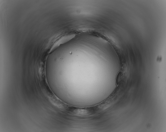 X0000092260361200709281208