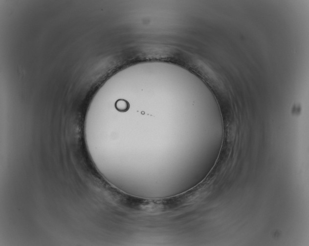 X0000092260362200709281208