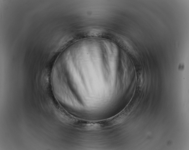 X0000092260363200709281208