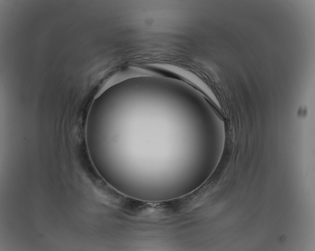 X0000092260364200709281208