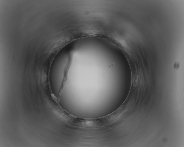 X0000092260365200709281208