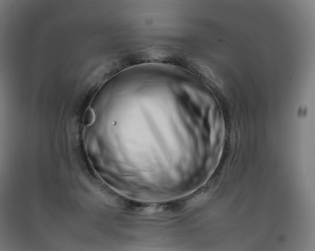 X0000092260366200709281208