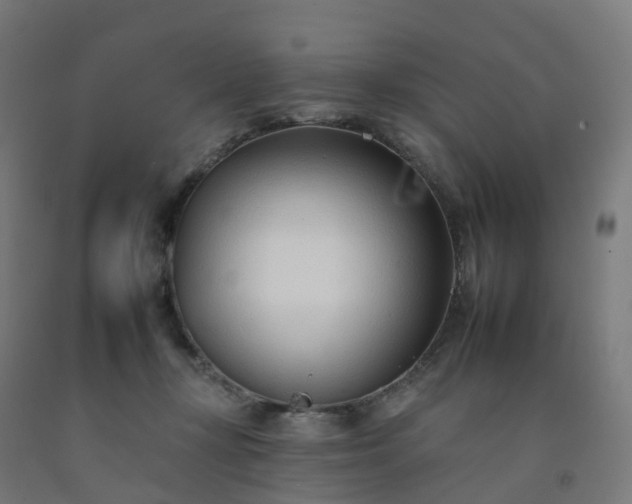 X0000092260367200709281208