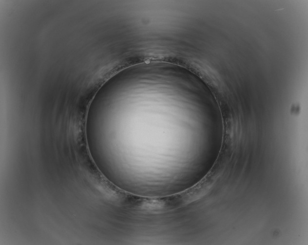 X0000092260369200709281209