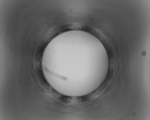 X0000092260370200709281209