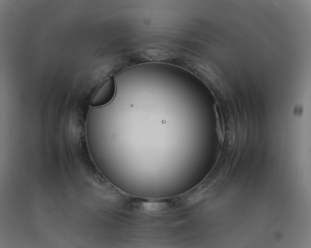 X0000092260371200709281209