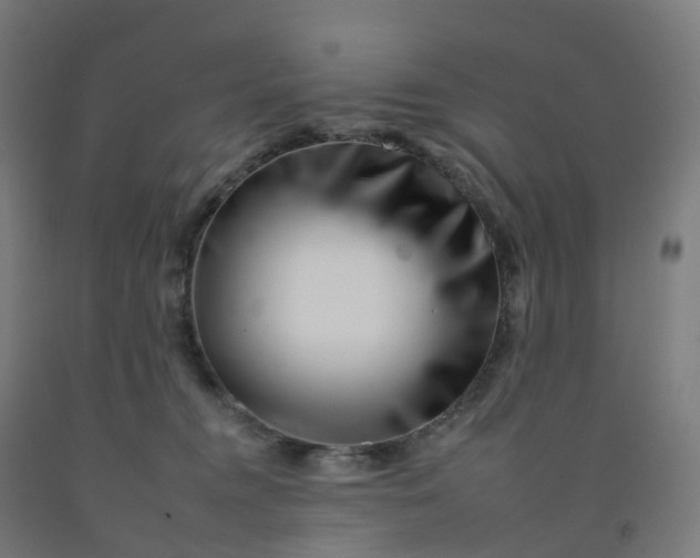 X0000092260372200709281209