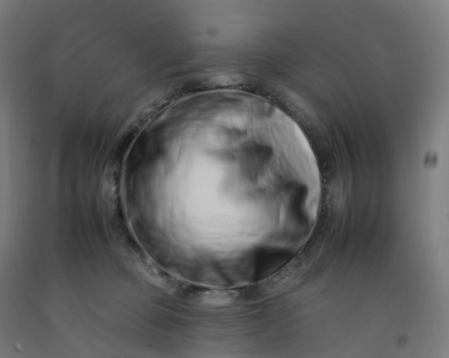 X0000092260373200709281209