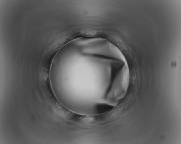 X0000092260374200709281209