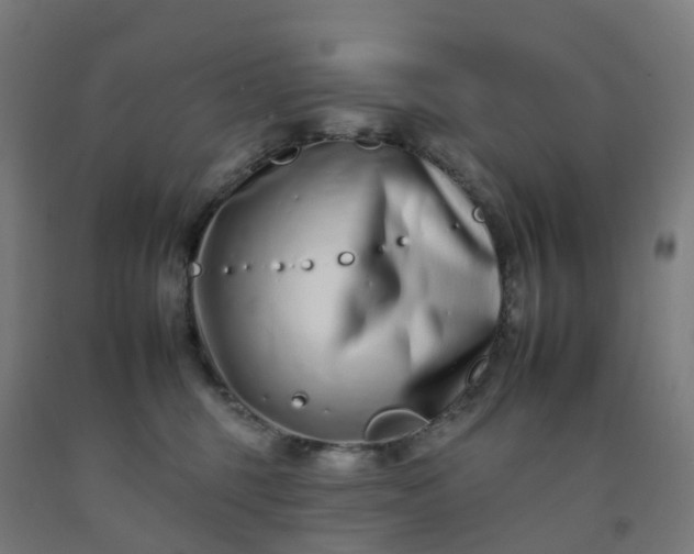 X0000092260375200709281209