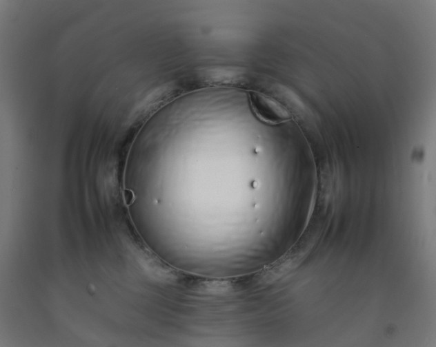 X0000092260377200709281209