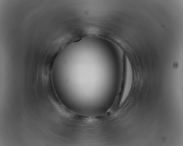 X0000092260379200709281209