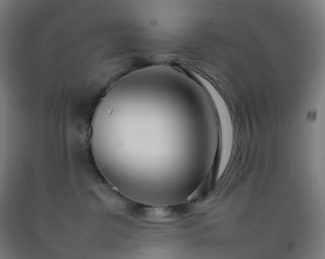 X0000092260380200709281209