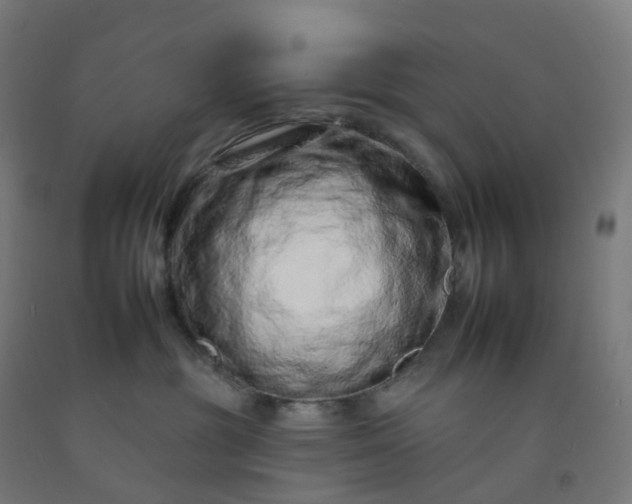 X0000092260381200709281209