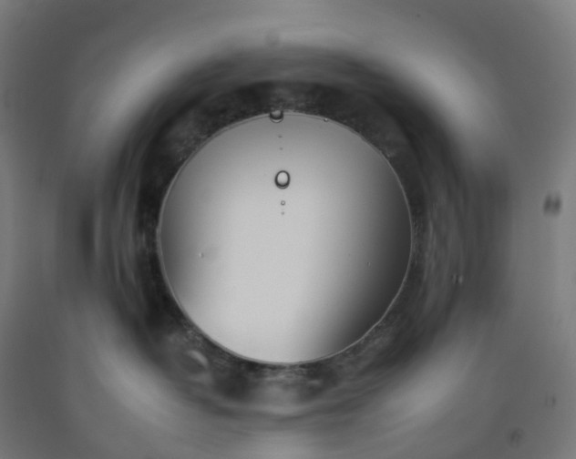 X0000092260382200709281209