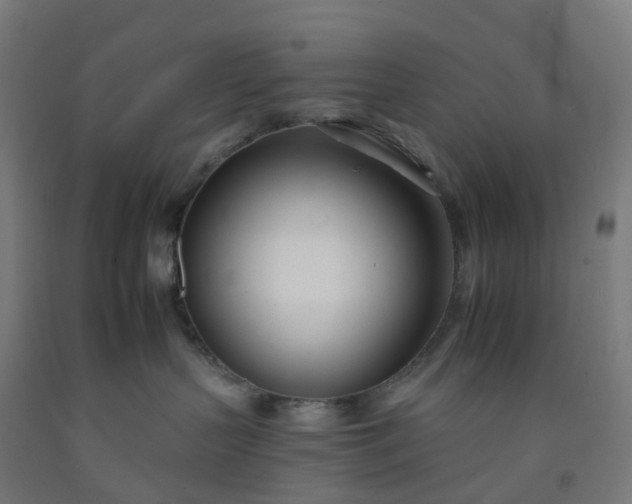 X0000092260383200709281209