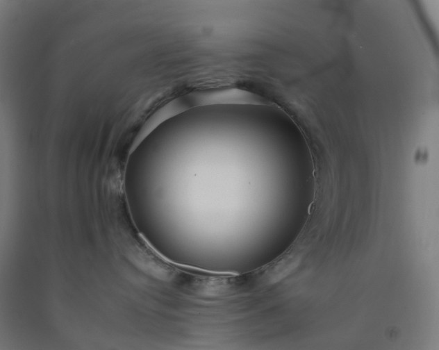 X0000092260384200709281209